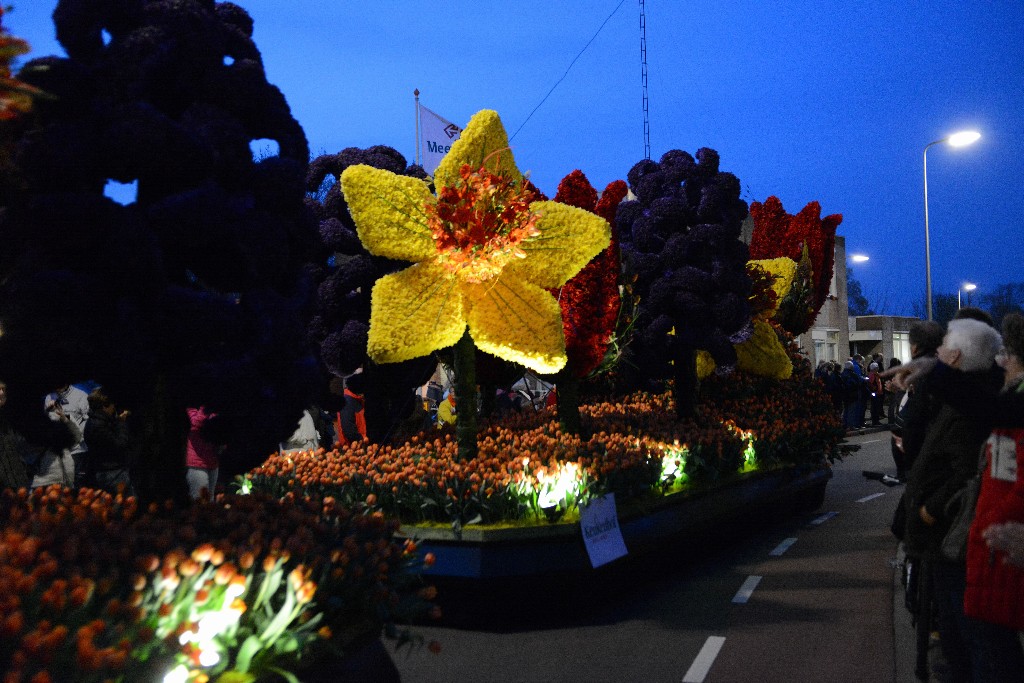 ../Images/Bloemencorso 2015 152.jpg